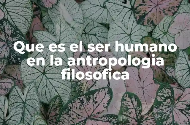 Que es el Ser Humano en la Antropologia Filosofica