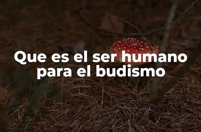 Que es el Ser Humano para el Budismo