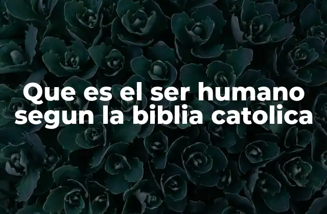 La visión bíblica del ser humano como reflejo de la Trinidad