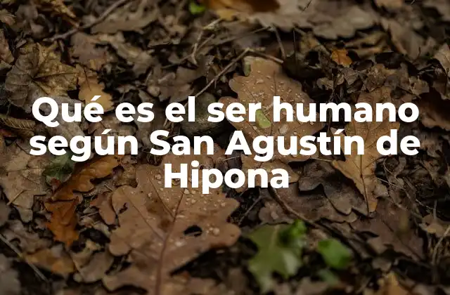 Qué es el Ser Humano según San Agustín de Hipona