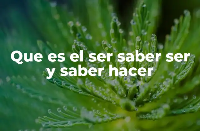 Que es el Ser Saber Ser y Saber Hacer