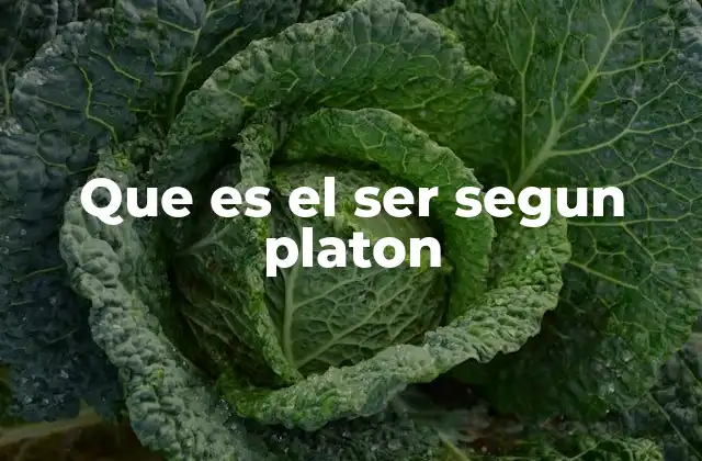 Que es el Ser Segun Platon