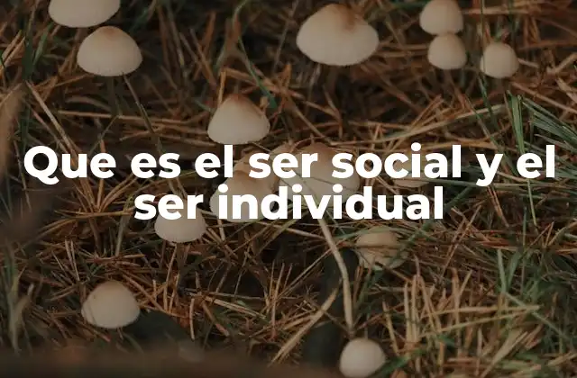 Que es el Ser Social y el Ser Individual