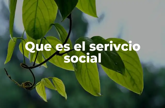 La importancia del servicio social en la sociedad actual