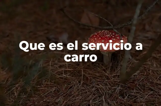 Que es el Servicio a Carro