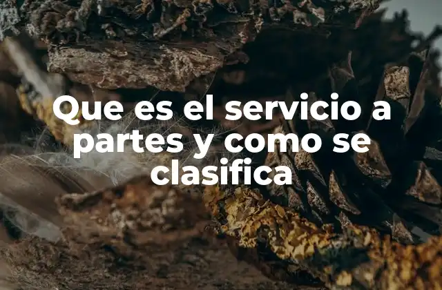 Que es el Servicio a Partes y como Se Clasifica 2 La importancia del servicio a partes en el derecho procesal