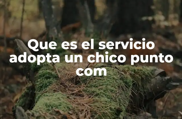 Que es el Servicio Adopta un Chico Punto Com