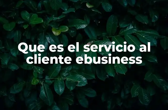 Que es el Servicio Al Cliente Ebusiness
