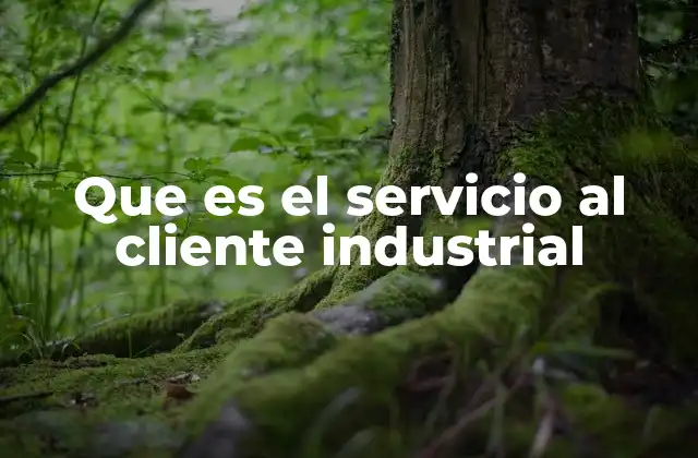 Que es el Servicio Al Cliente Industrial
