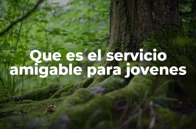 Que es el Servicio Amigable para Jovenes 2 Cómo se construye un entorno de confianza con los jóvenes