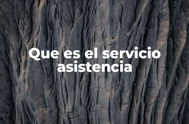 Que es el Servicio Asistencia