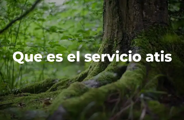 Que es el Servicio Atis