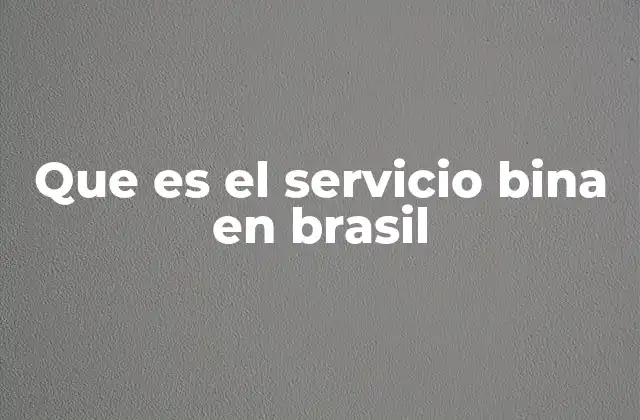 Que es el Servicio Bina en Brasil