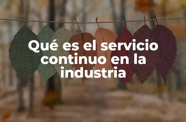 Qué es el Servicio Continuo en la Industria