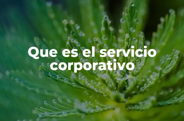 Que es el Servicio Corporativo