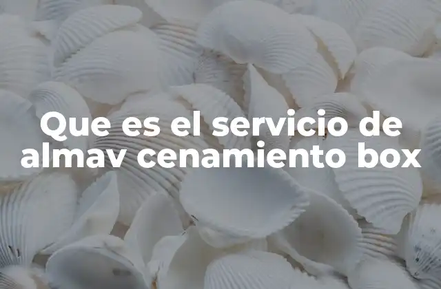Que es el Servicio de Almav Cenamiento Box