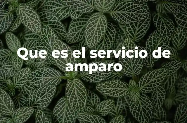 Que es el Servicio de Amparo
