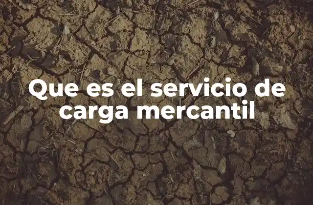 Que es el Servicio de Carga Mercantil
