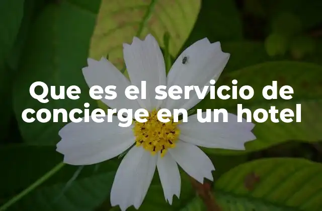 Que es el Servicio de Concierge en un Hotel