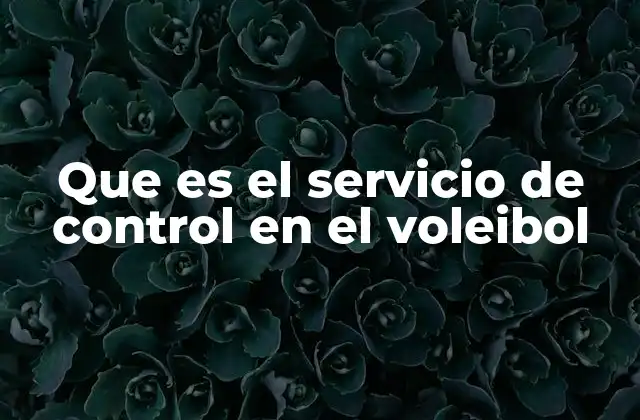 Que es el Servicio de Control en el Voleibol 2 El servicio de control como herramienta táctica en el voleibol
