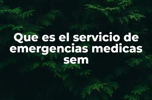 Que es el Servicio de Emergencias Medicas Sem 2 La importancia de contar con un sistema de emergencias médicas eficiente