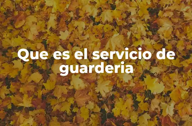 Que es el Servicio de Guarderia
