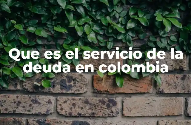 Que es el Servicio de la Deuda en Colombia