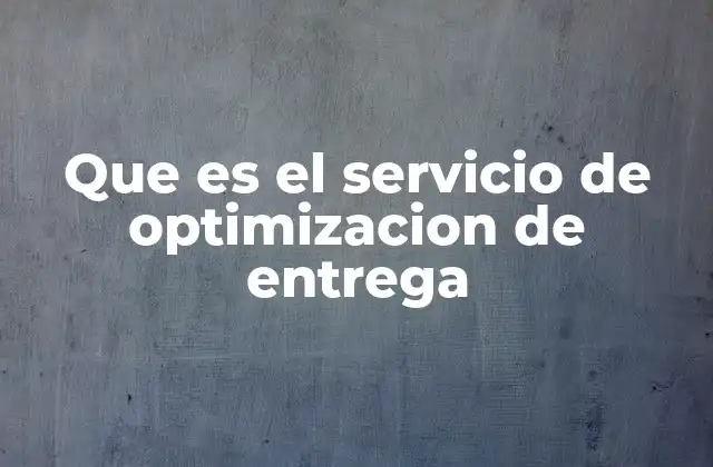 Que es el Servicio de Optimizacion de Entrega