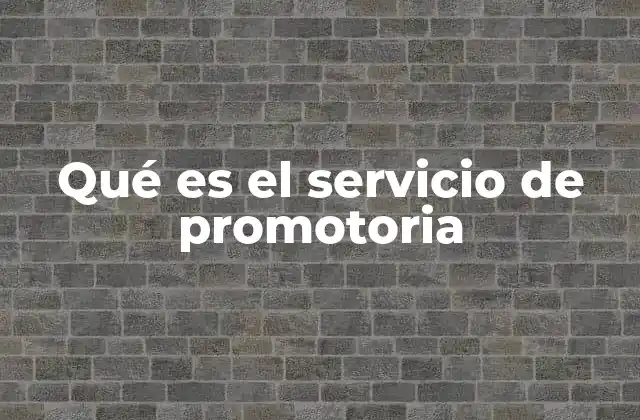 Qué es el Servicio de Promotoria