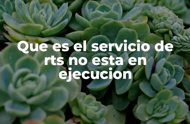 Que es el Servicio de Rts No Esta en Ejecucion