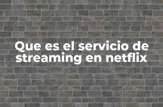 Que es el Servicio de Streaming en Netflix