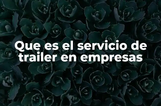 Que es el Servicio de Trailer en Empresas