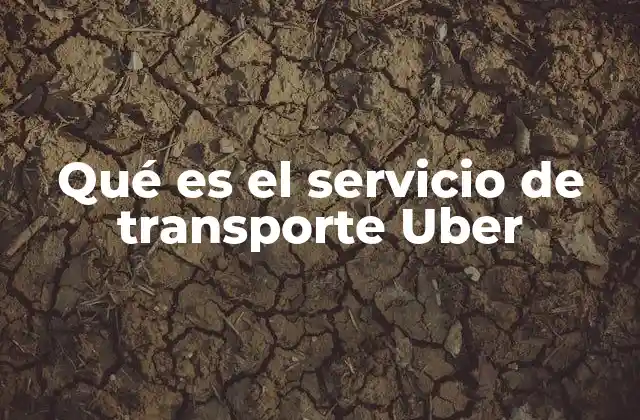 Qué es el Servicio de Transporte Uber