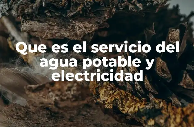 Que es el Servicio Del Agua Potable y Electricidad