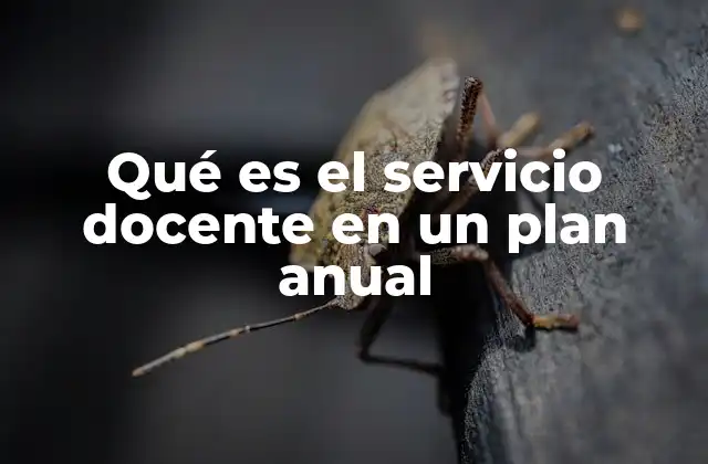 La importancia del servicio docente en la planificación educativa