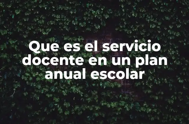 Que es el Servicio Docente en un Plan Anual Escolar