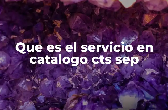 Que es el Servicio en Catalogo Cts Sep