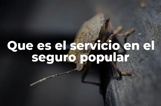 La importancia de los servicios médicos en el sistema público