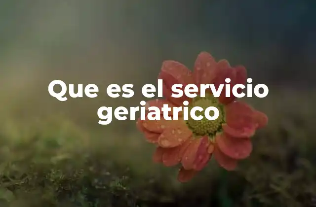 Que es el Servicio Geriatrico