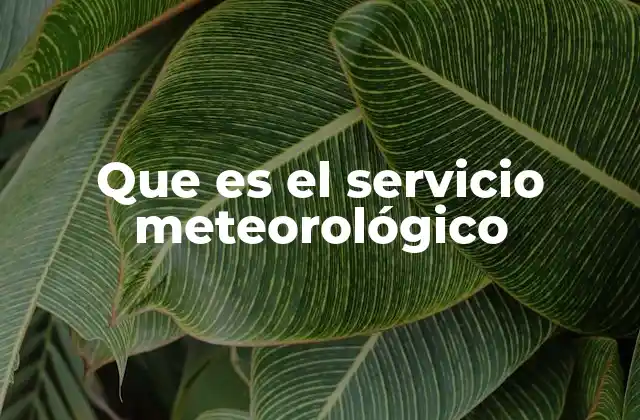 Que es el Servicio Meteorológico