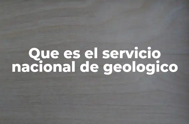 Que es el Servicio Nacional de Geologico