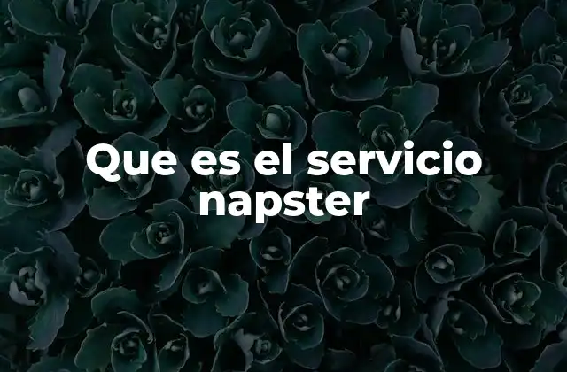 Que es el Servicio Napster