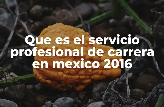 Que es el Servicio Profesional de Carrera en Mexico 2016