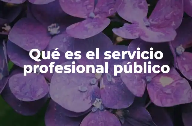 Qué es el Servicio Profesional Público