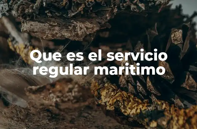 Que es el Servicio Regular Maritimo