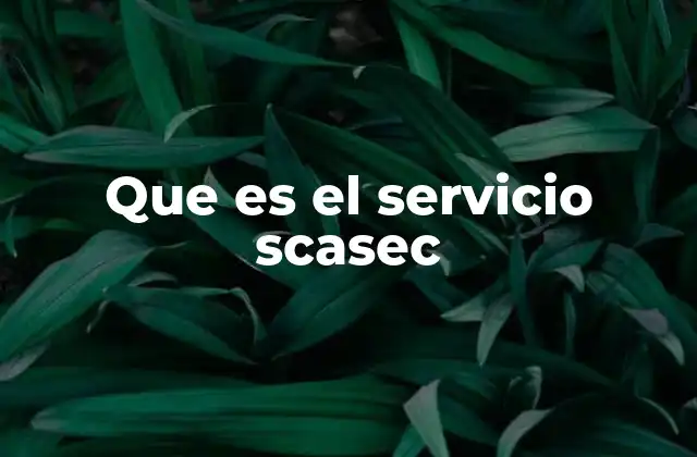 Que es el Servicio Scasec