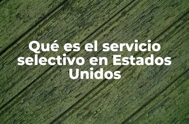Qué es el Servicio Selectivo en Estados Unidos 2 El sistema de registro para el servicio selectivo en Estados Unidos