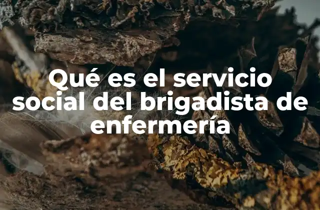 Qué es el Servicio Social Del Brigadista de Enfermería