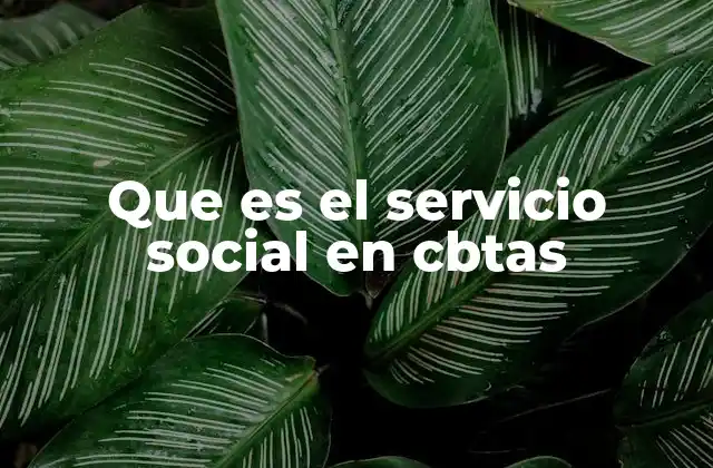 Que es el Servicio Social en Cbtas