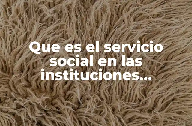 Que es el Servicio Social en las Instituciones Educativas 2 La importancia del servicio social en la formación educativa